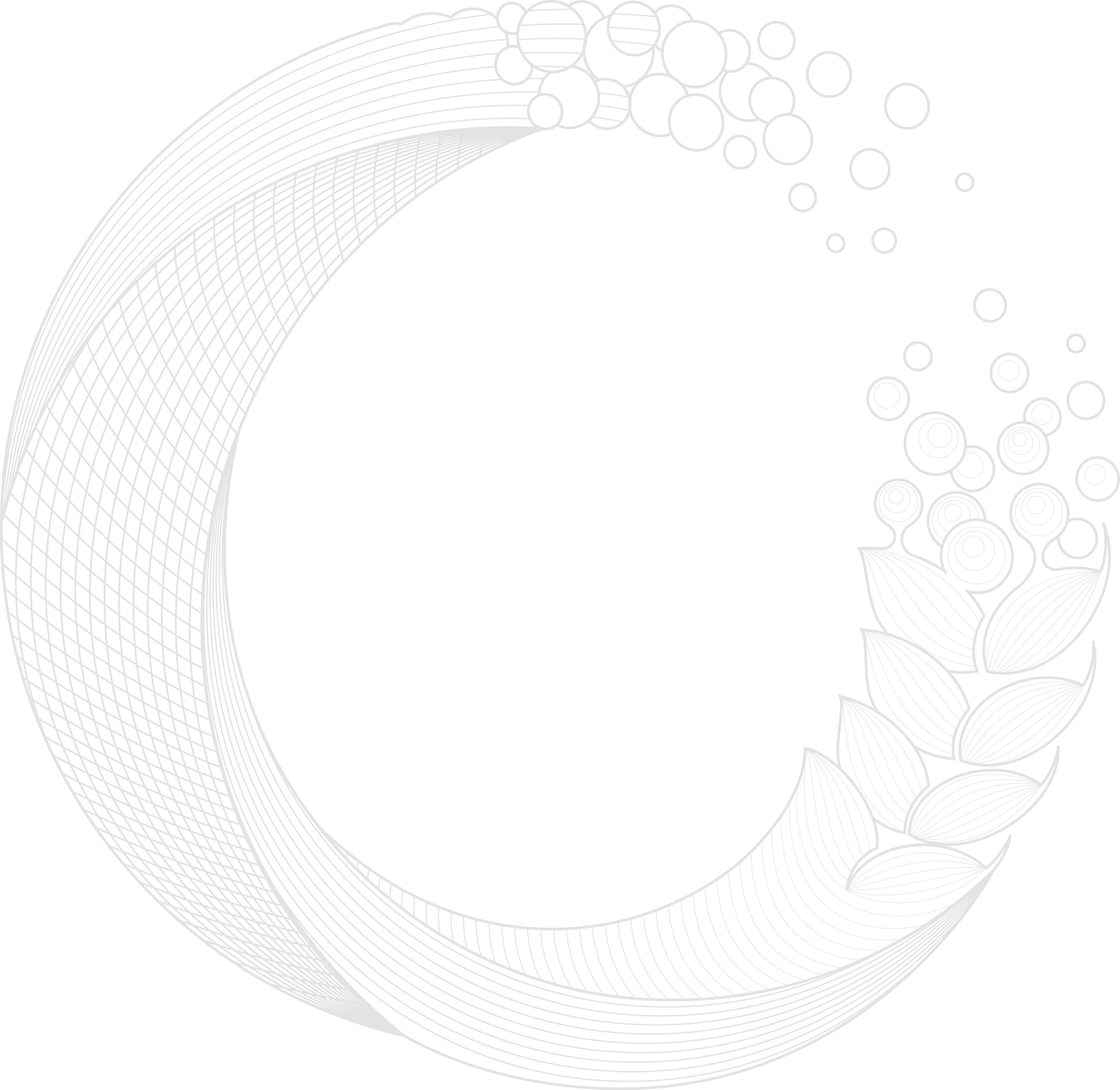 麦穗_副本.png 麦穗_副本.png